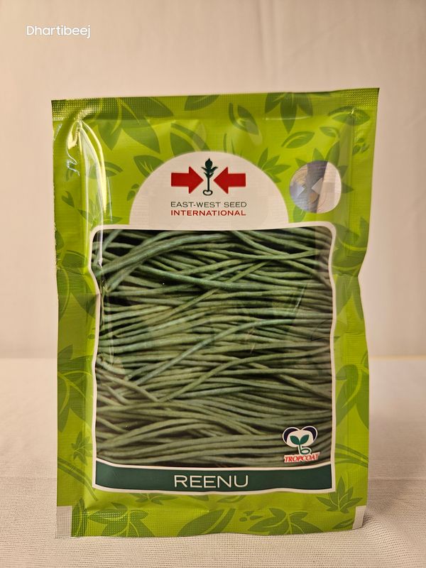 Yard Long Beans East West Reenu