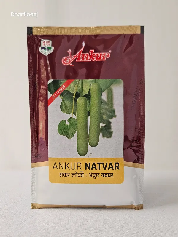 Bottelgourd Ankur Natwar