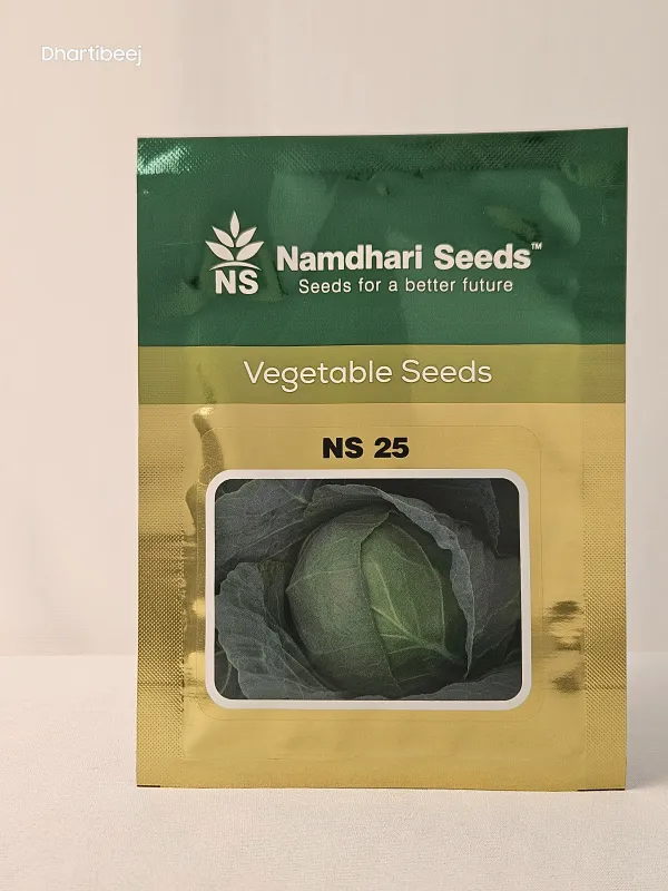 Cabbage NS 25