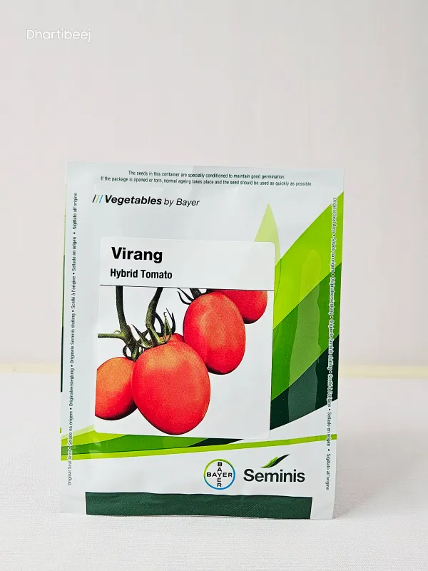 Tomato Monsanto Virang