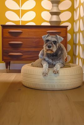 Beige TreadBed
