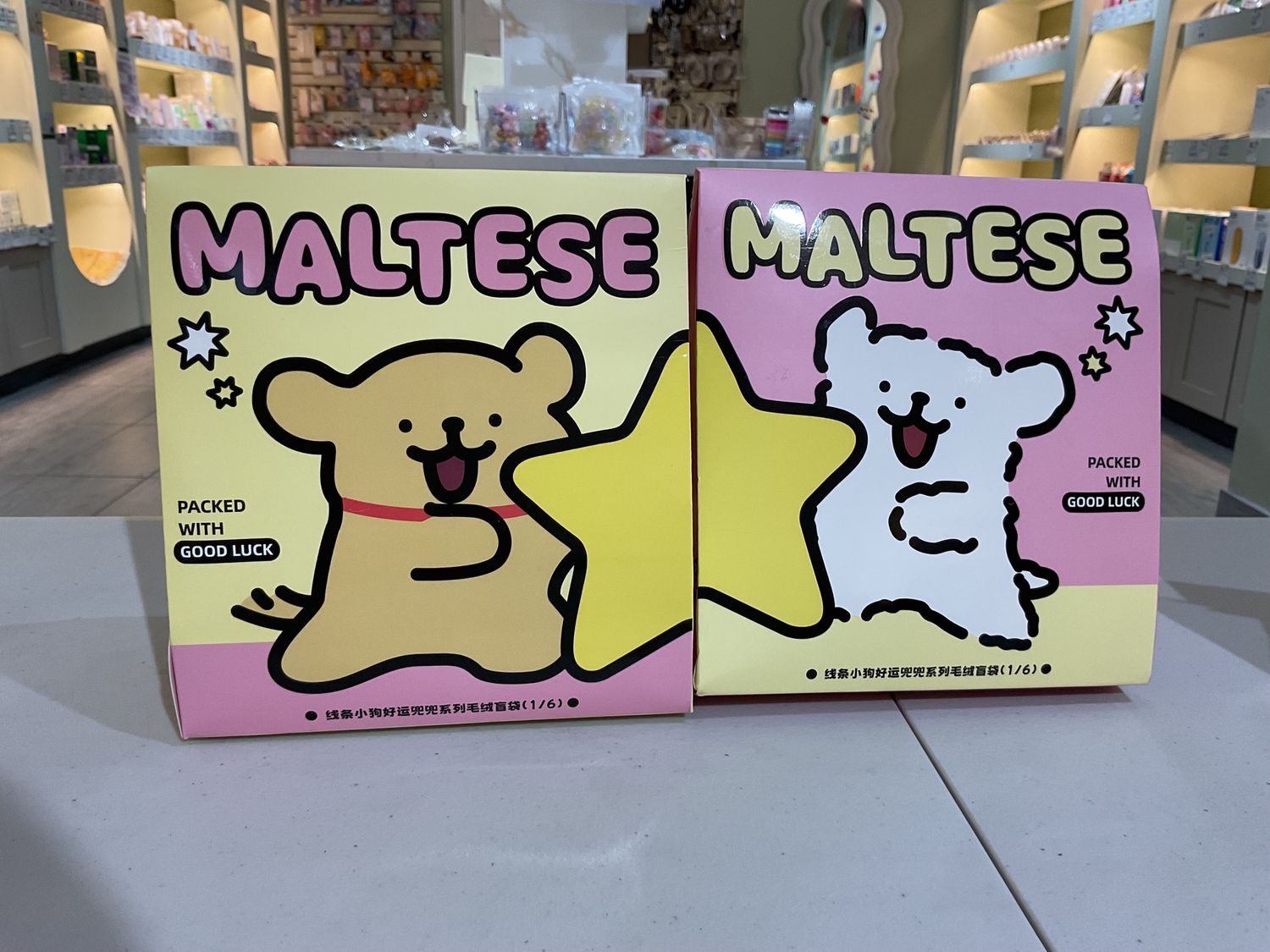 Maltese Blind Box