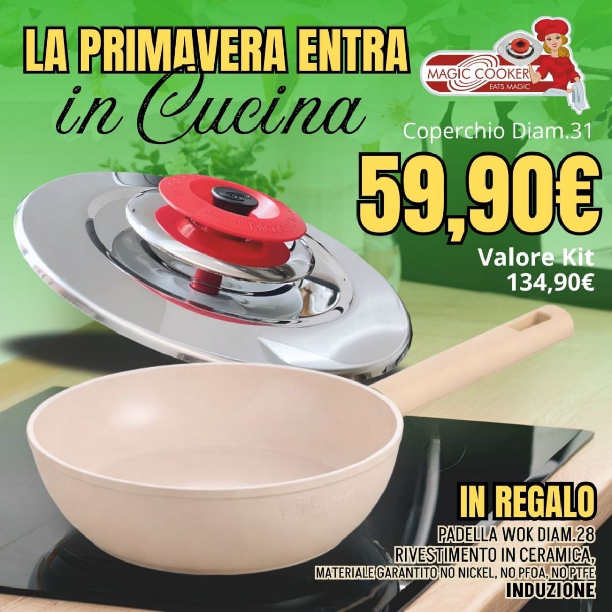 Set Coperchio Diam.31 + IN REGALO Padella Wok Diam.28