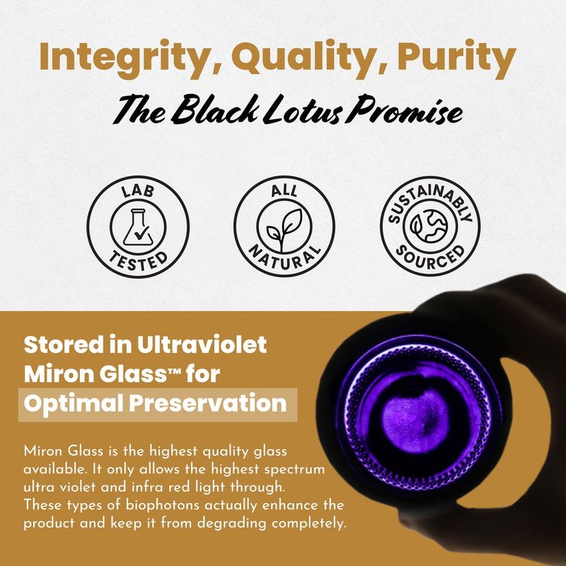 Black Lotus Shilajit Liquid