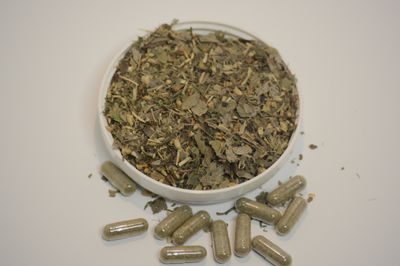 Blood Sugar Support