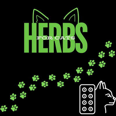 Herbs for Cats