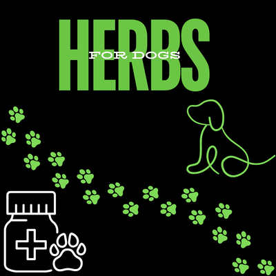 Herbs for Dogs