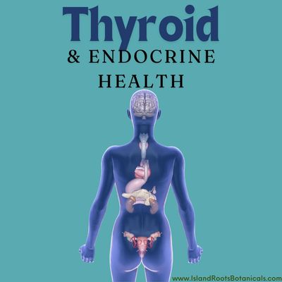 Thyroid &amp; Endocrine Health