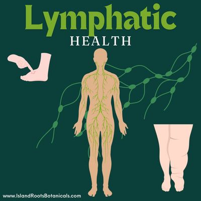 Lymphatic System Support