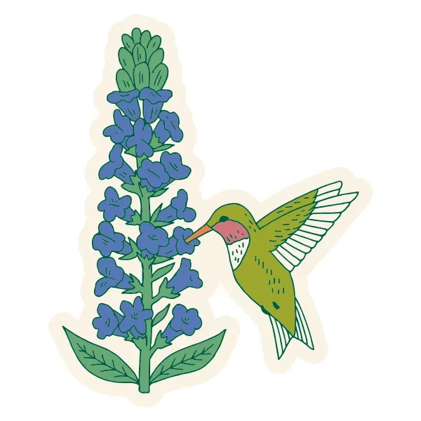 Lobelia &amp; Hummingbird Sticker