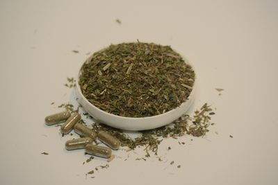 Kidney &amp; Bladder