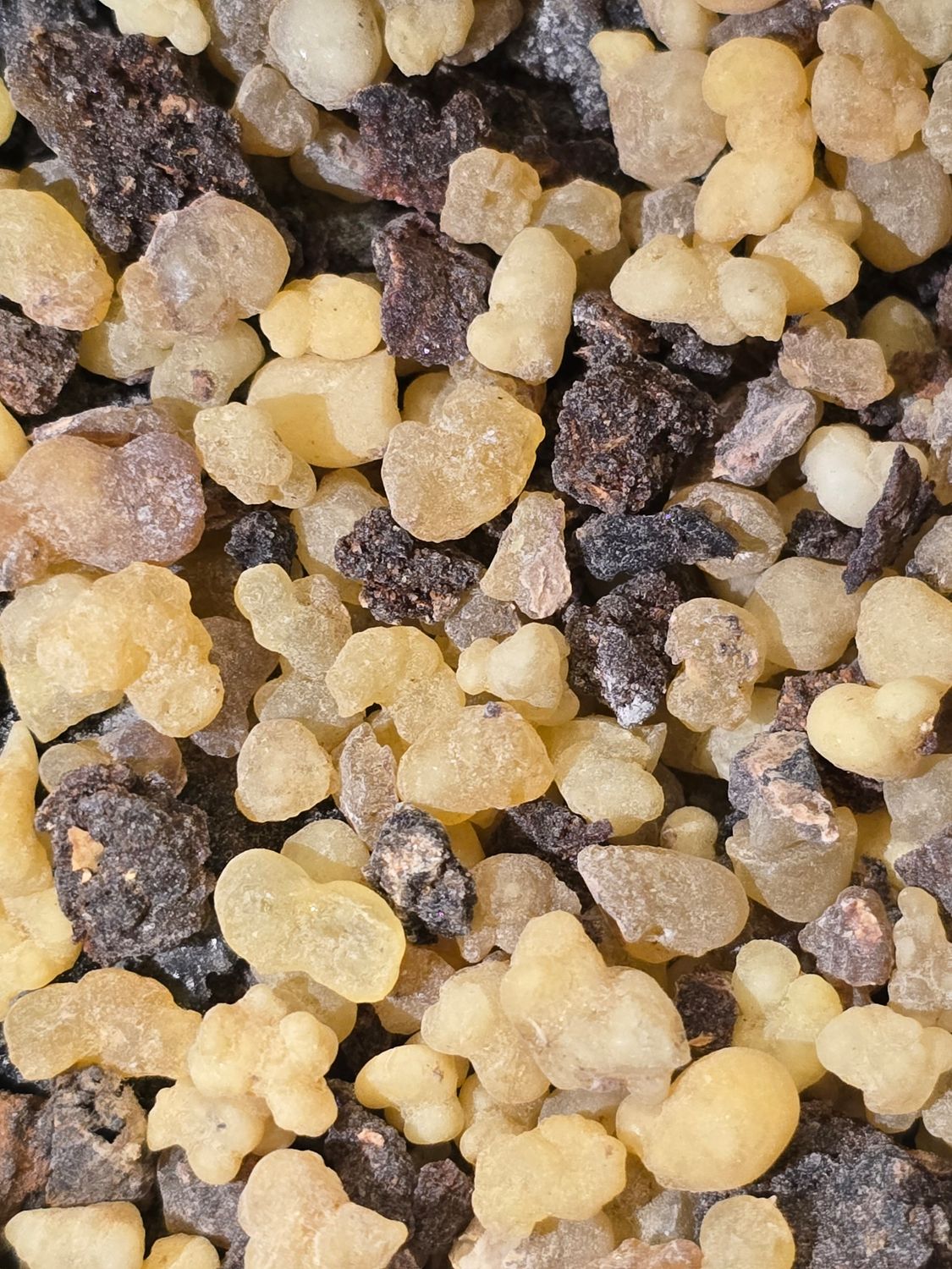 Frankincense and Myrrh Burning Mix