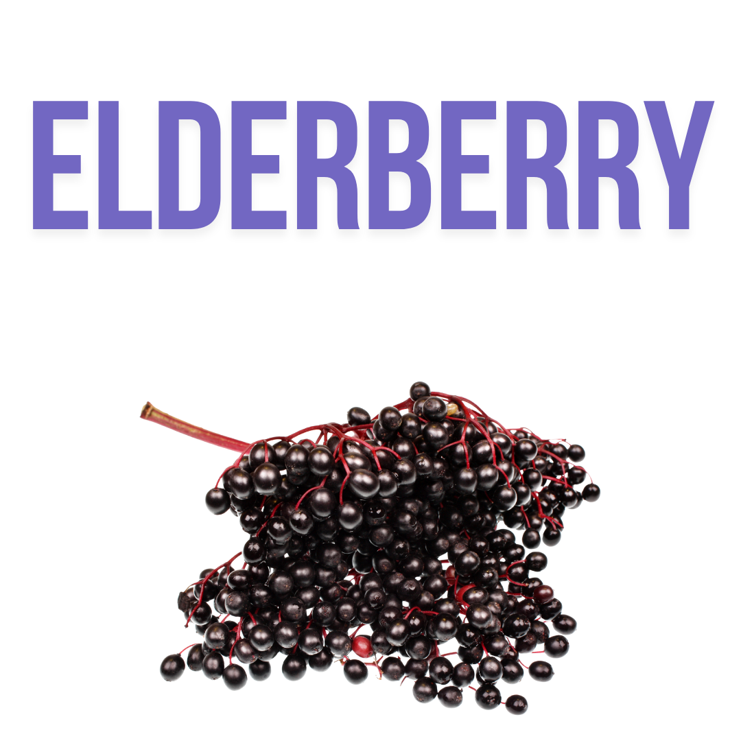 Elderberries