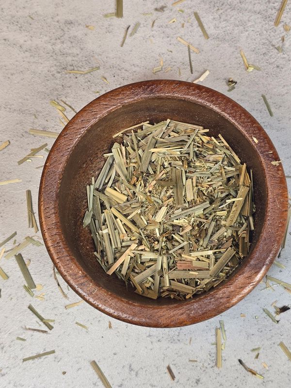 Horsetail (Shavegrass)