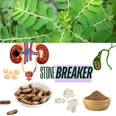 Chanca Piedra (Stonebreaker)