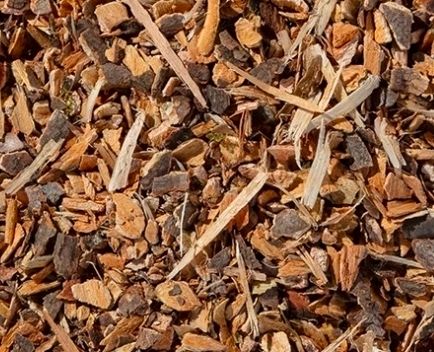 Crampbark