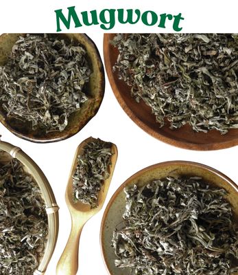 Mugwort