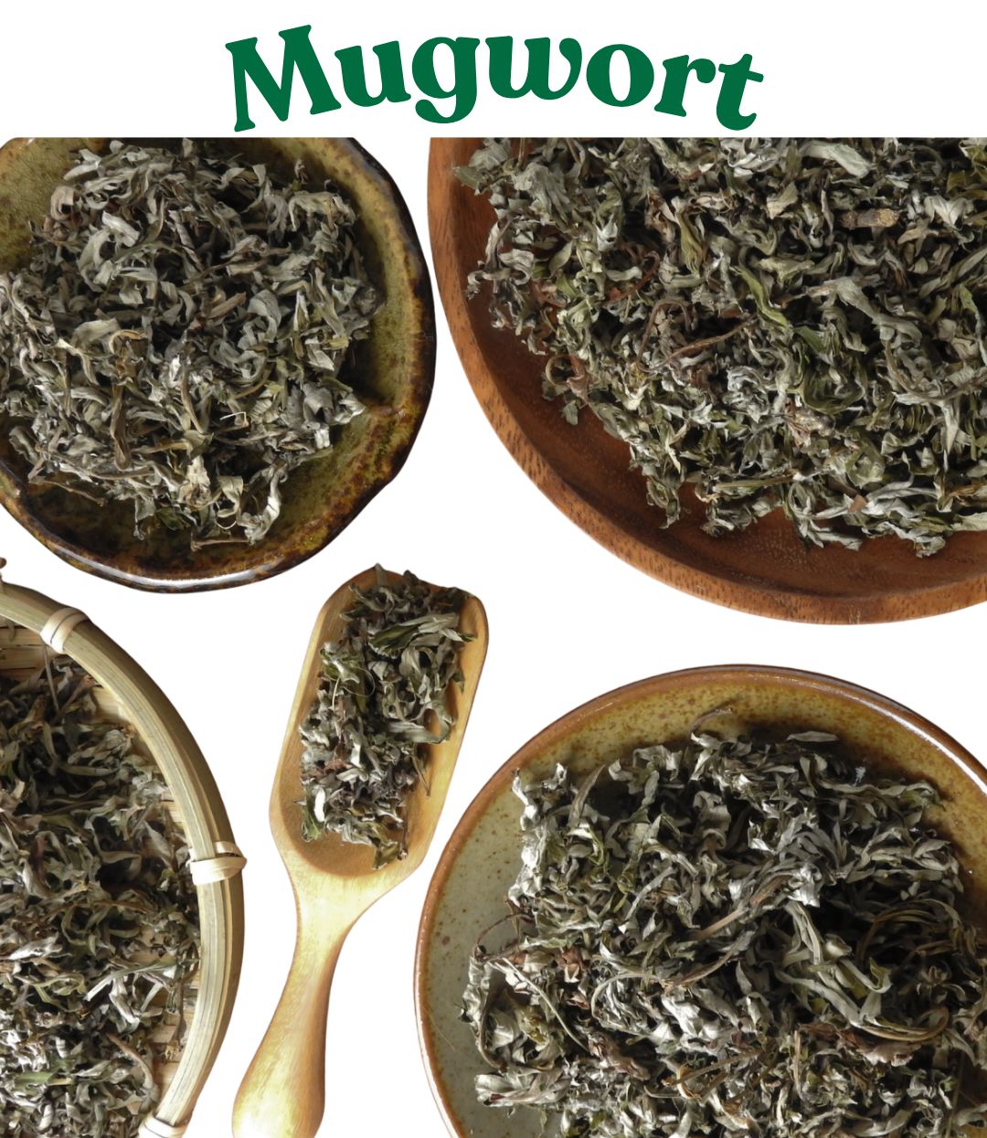 Mugwort