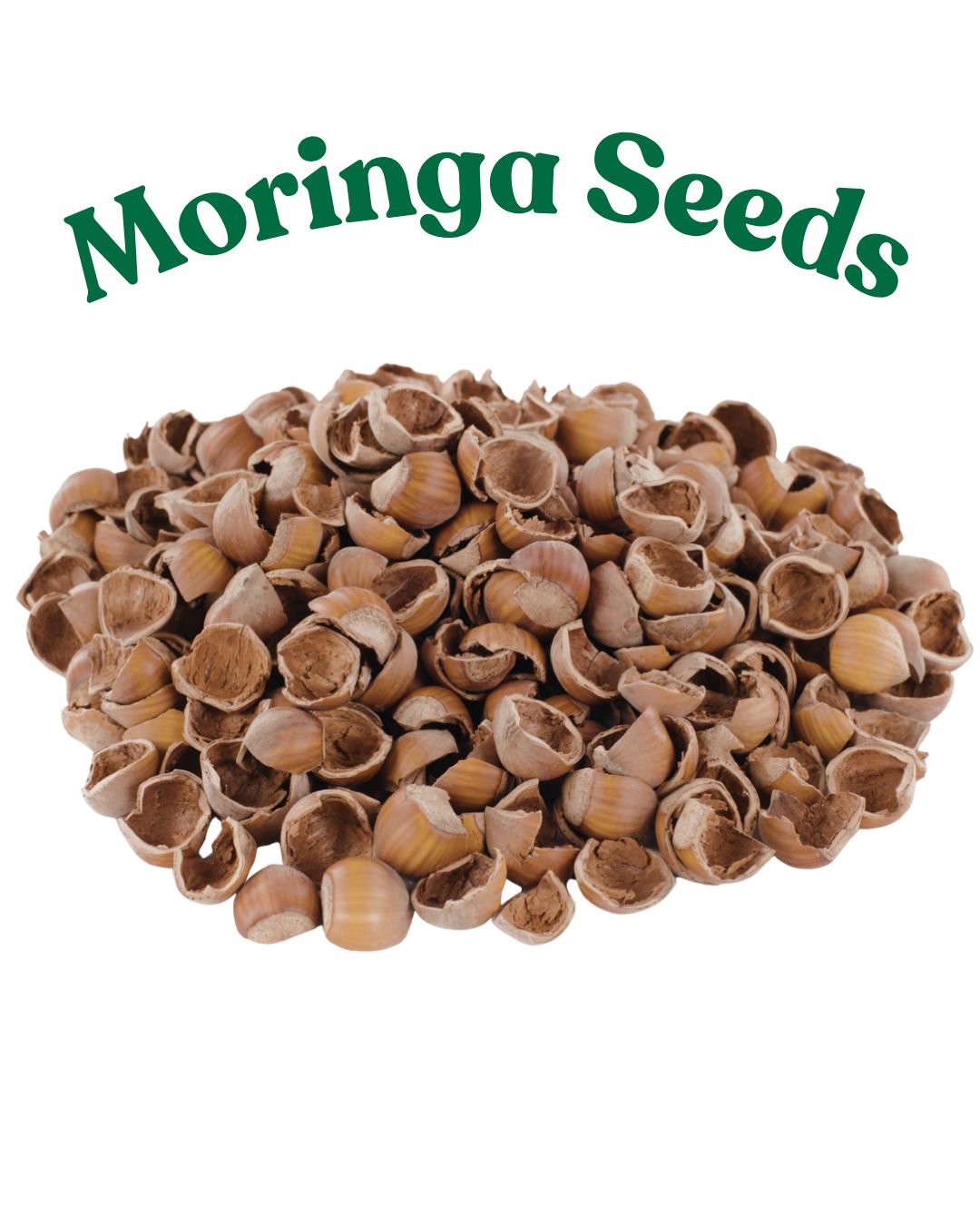 Moringa Seeds