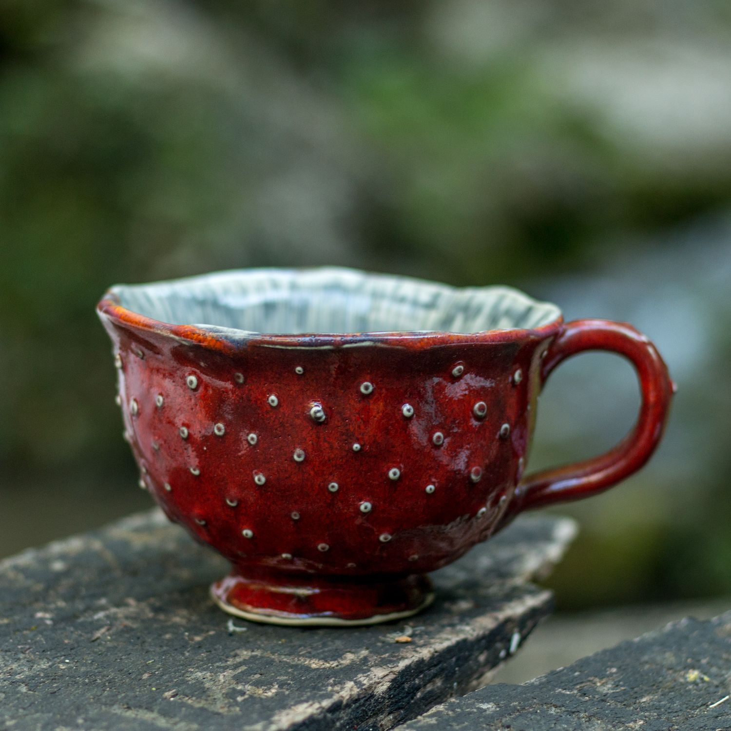 Agaricus mug