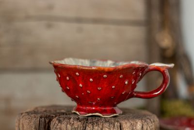 Little agaricus mug