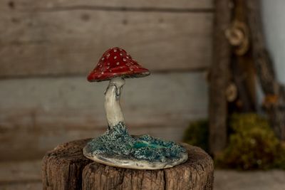 Little fly agaric