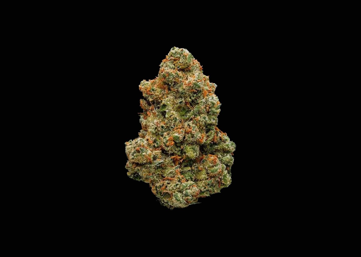 JACK HERER