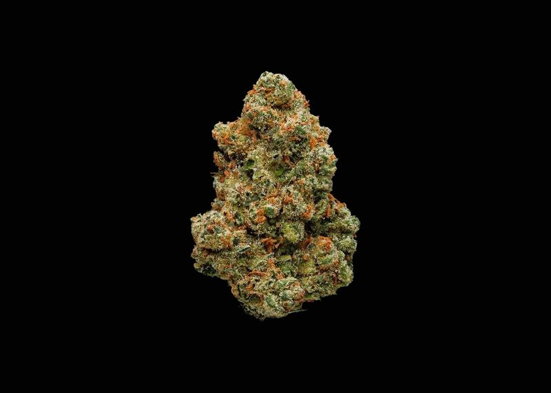 JACK HERER