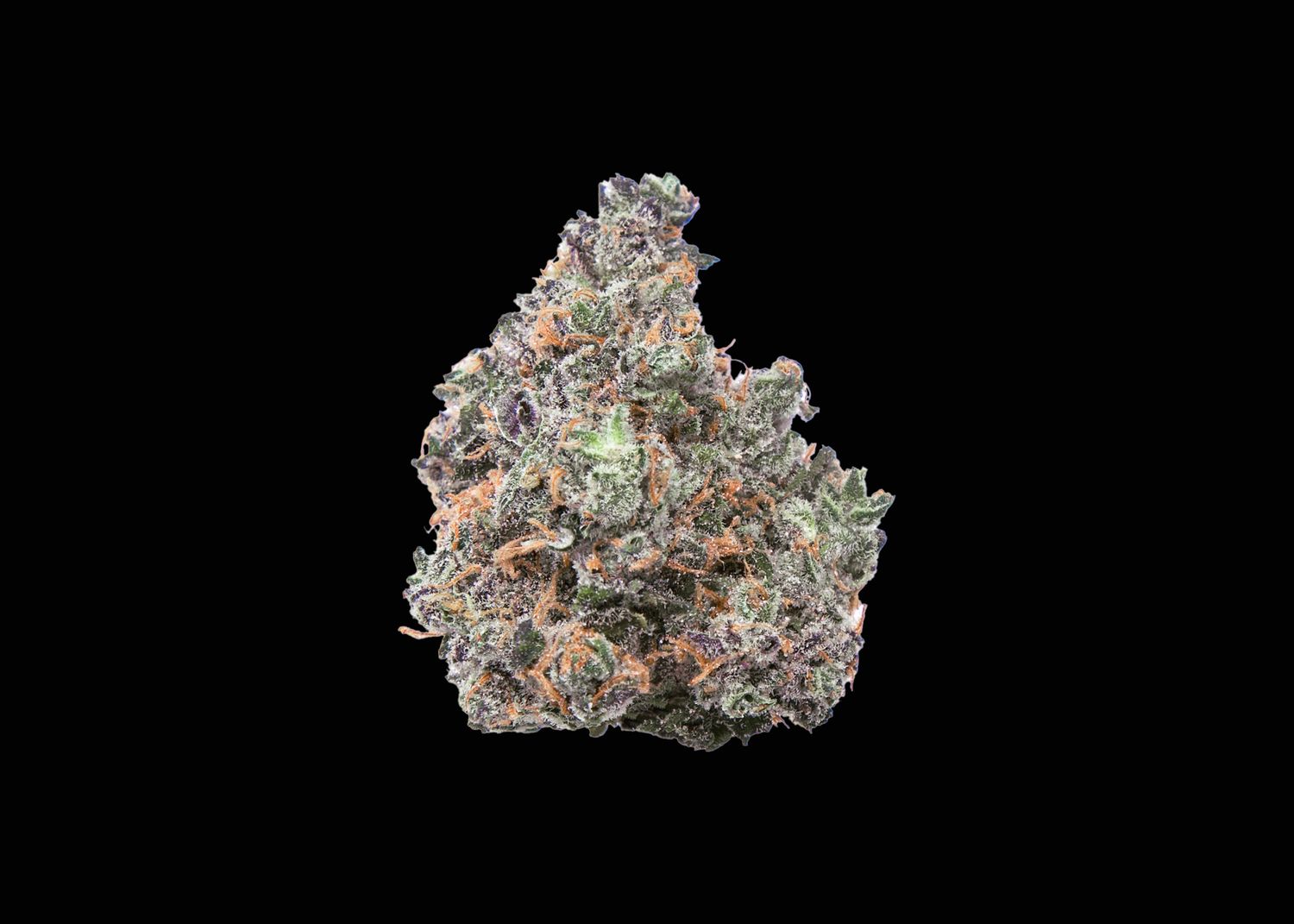 CANDYLAND