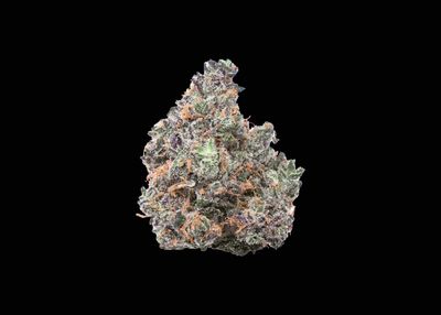 CANDYLAND