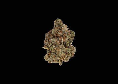 ETERNITY - SATIVA