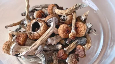MUSHROOMS