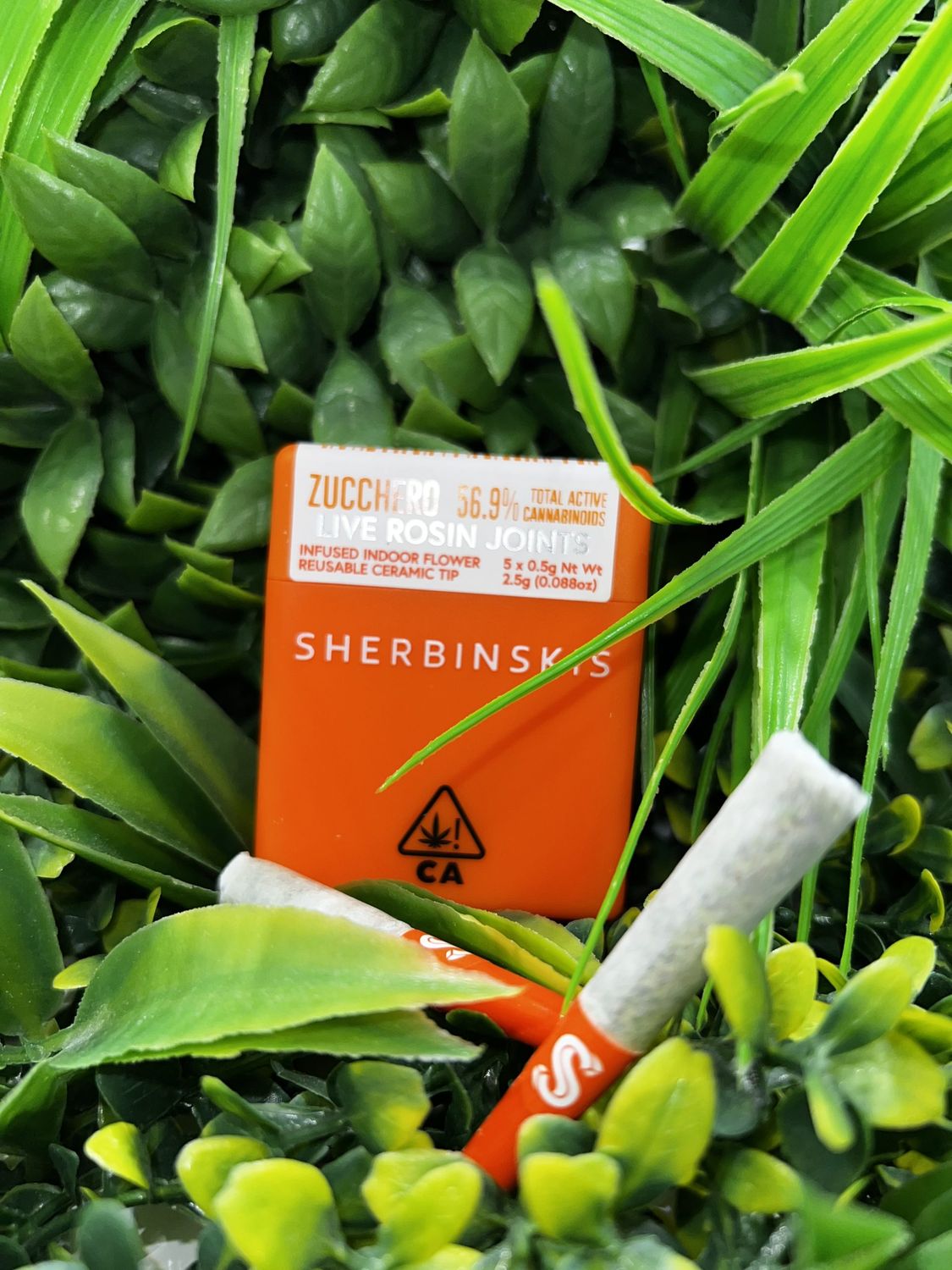 SHERBINSKIS