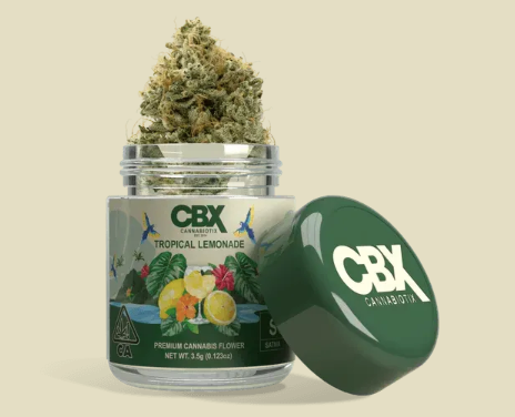 CBX - TROPICAL LEMONADE