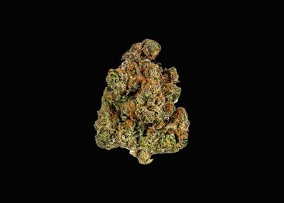 TRAINWRECK