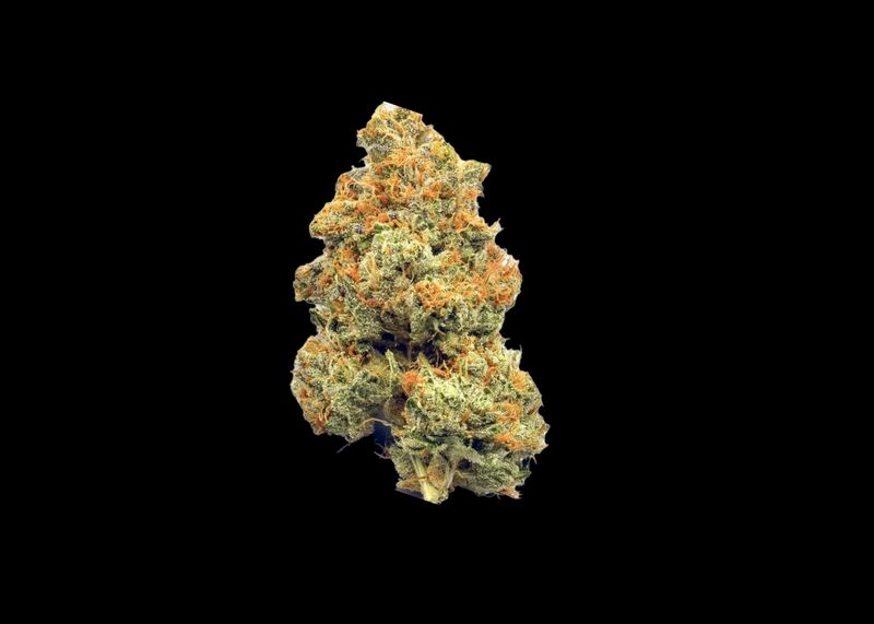 KENTUCKY DURBAN