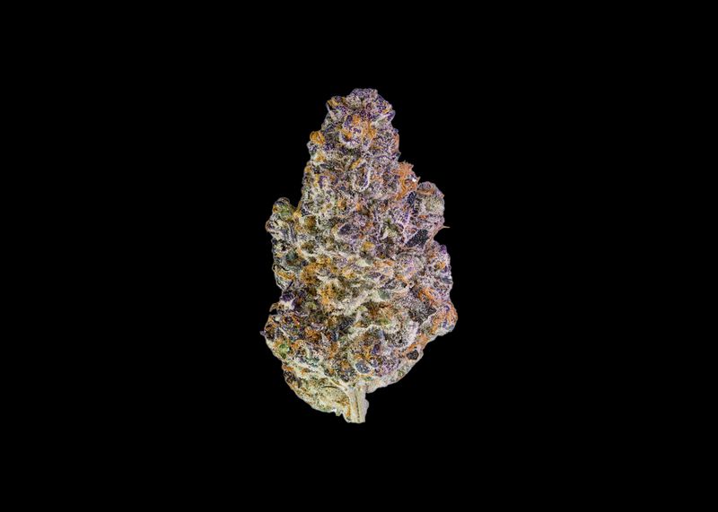 KEY LIME JACK
