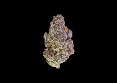 KEY LIME JACK