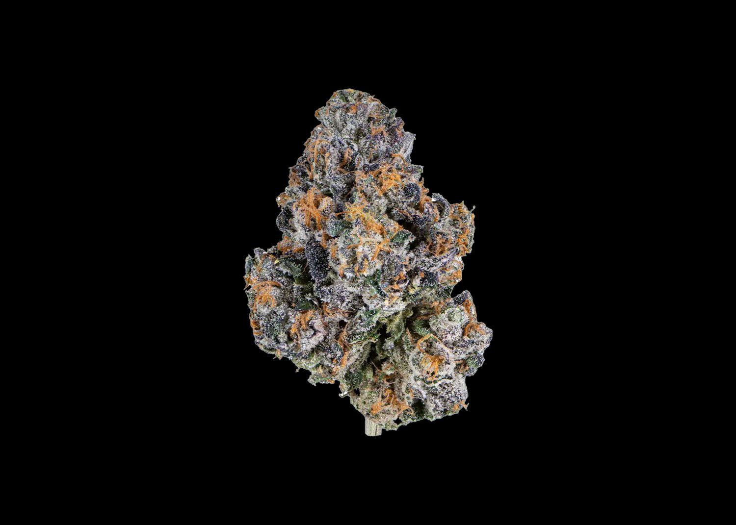 ELEPHANT OG