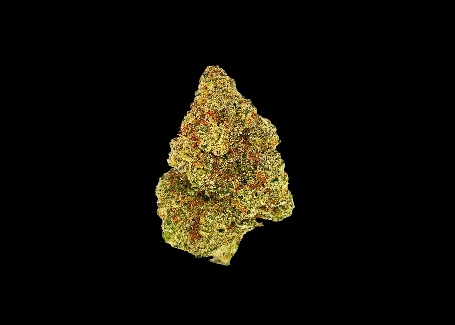 SUPER JACK HERER