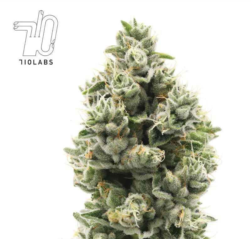 710 LABS - THE SWEETIES #7