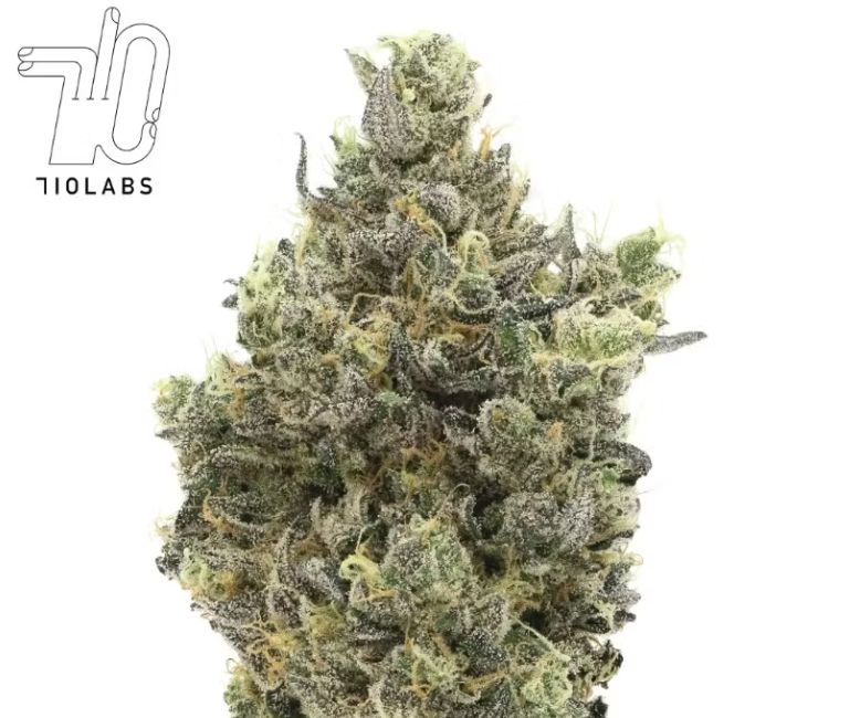 710 LABS - RANDY WATZON #13