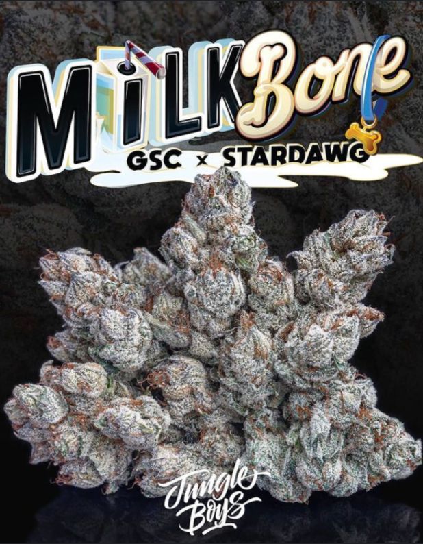 JUNGLE BOYS - MILK BONE