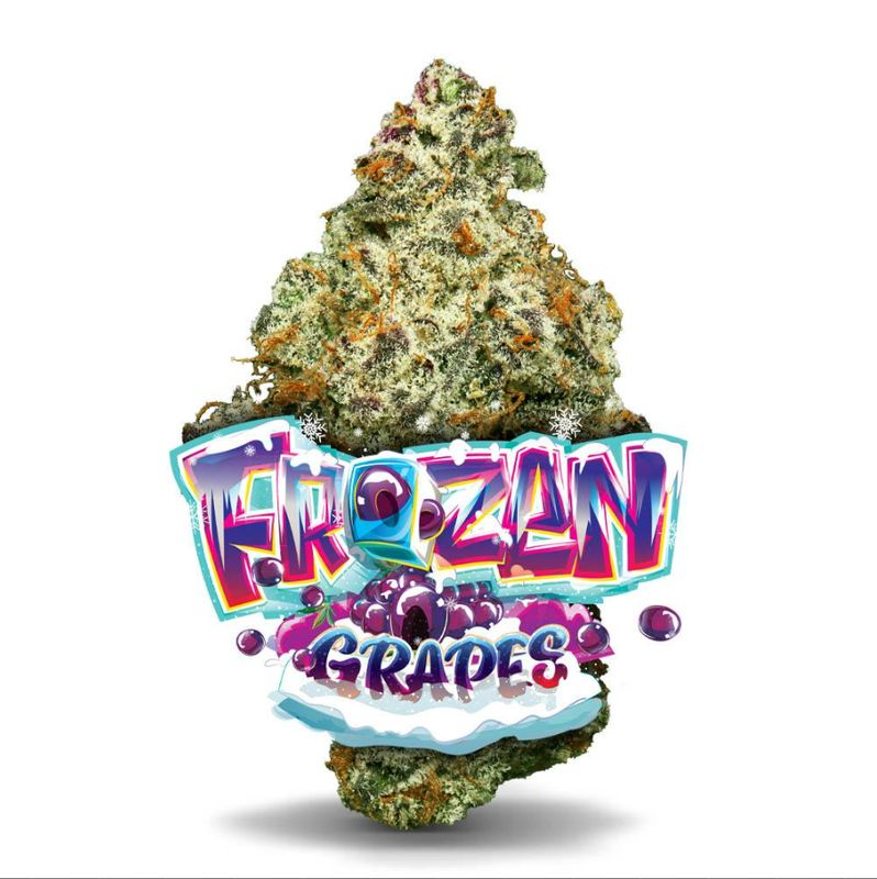 JUNGLE BOYS - FROZEN GRAPES