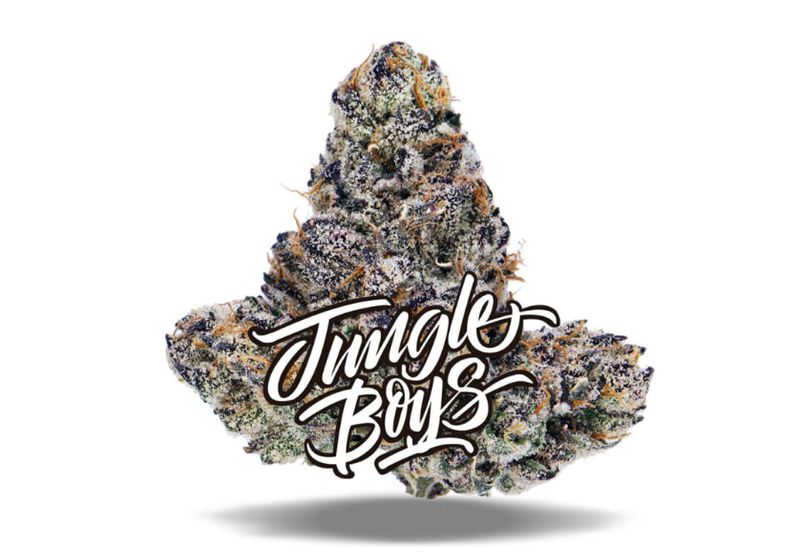 JUNGLE BOYS - WHITE DURBAN