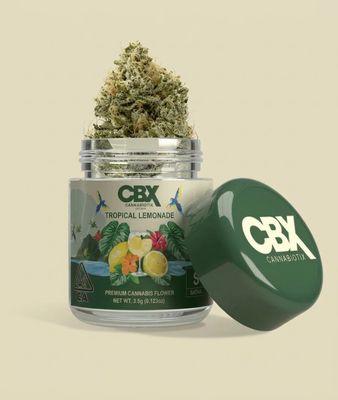 CBX - TROPICAL LEMONADE