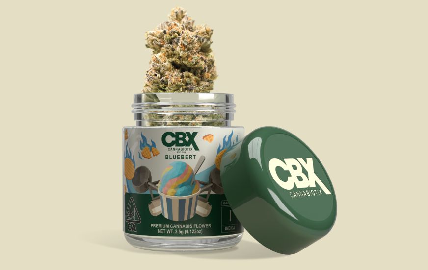 CBX - BLUEBERT