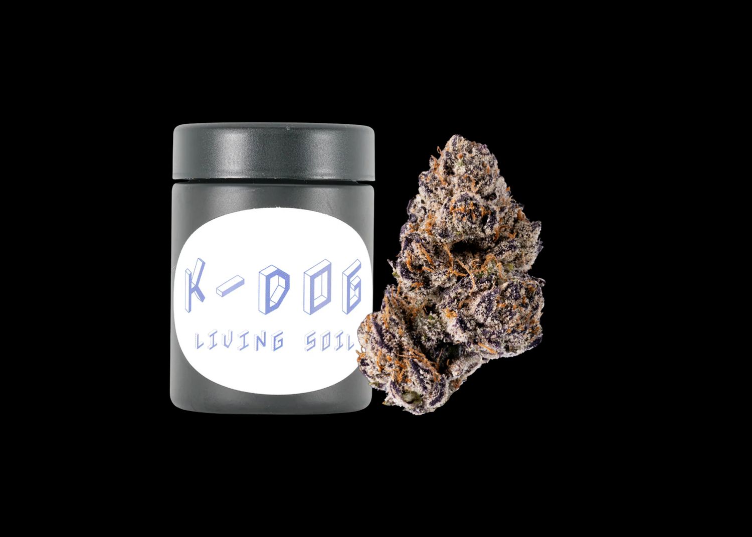 K-DOG LIVE SOIL - CANAL ST RUNTZ