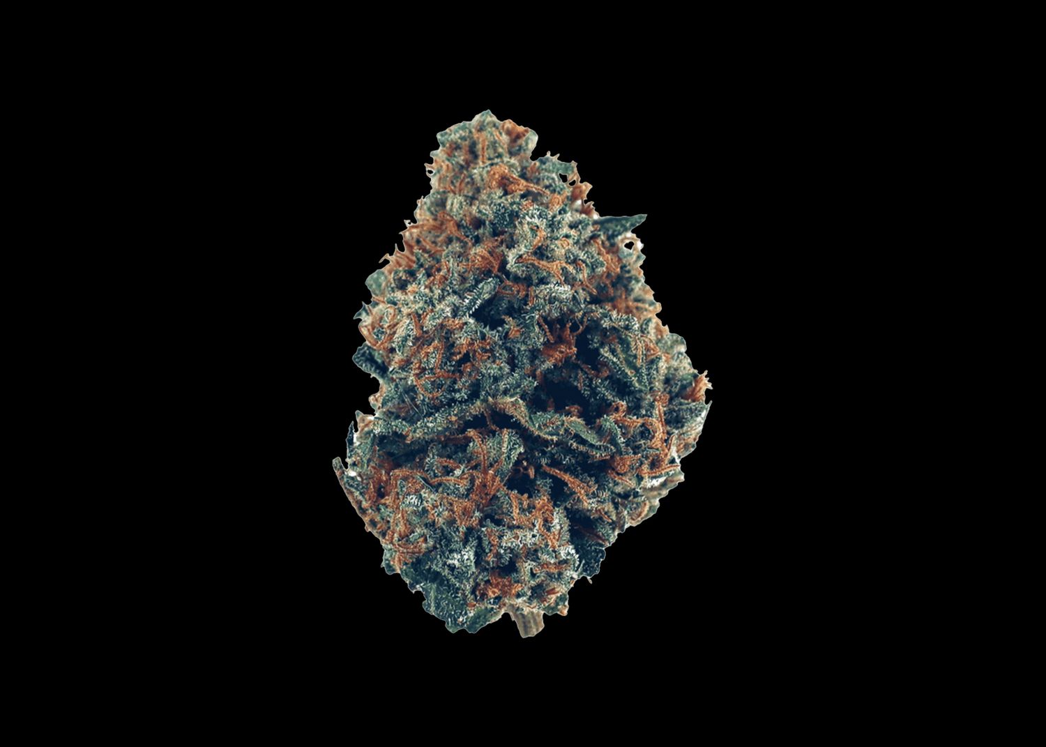 ZKITTLEZ