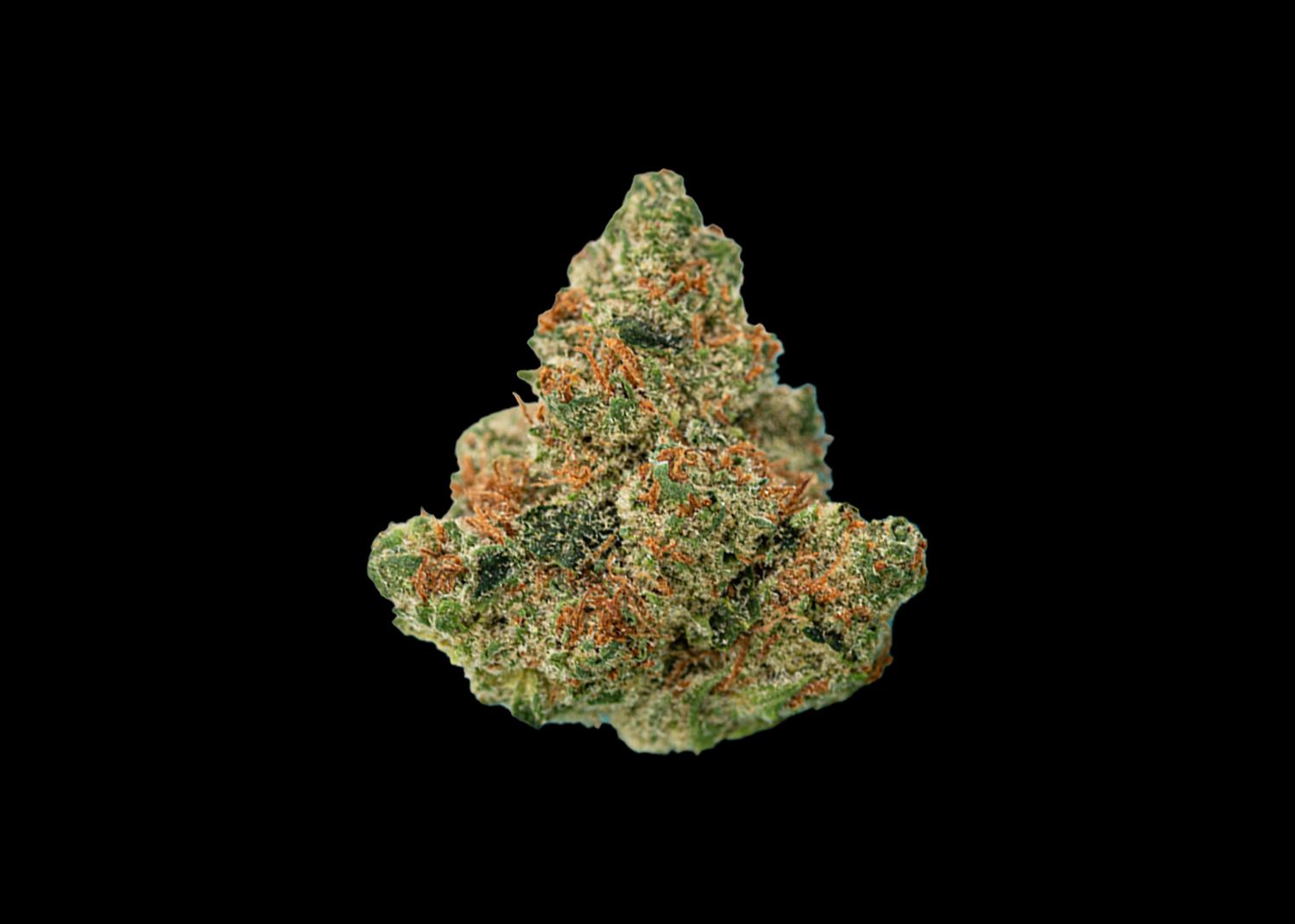 BLUE PINA